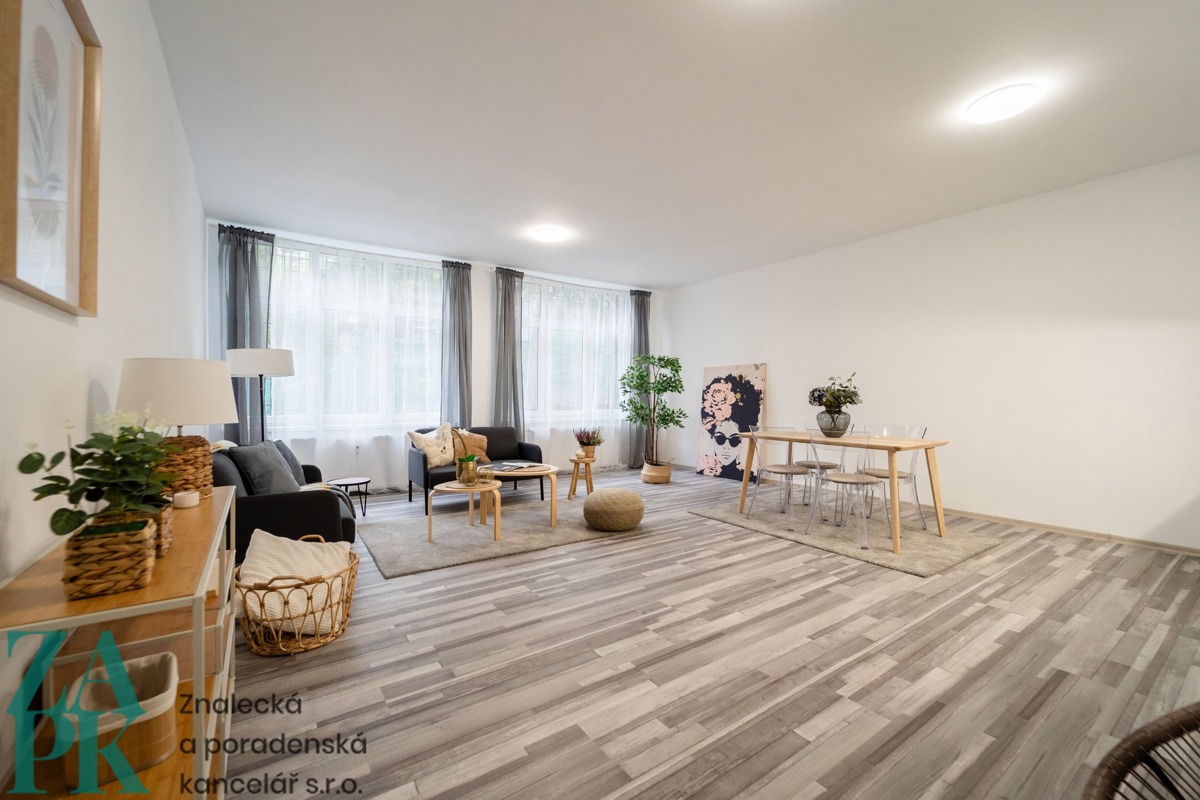 Căn hộ cho thuê · 1+kk · 55 m²