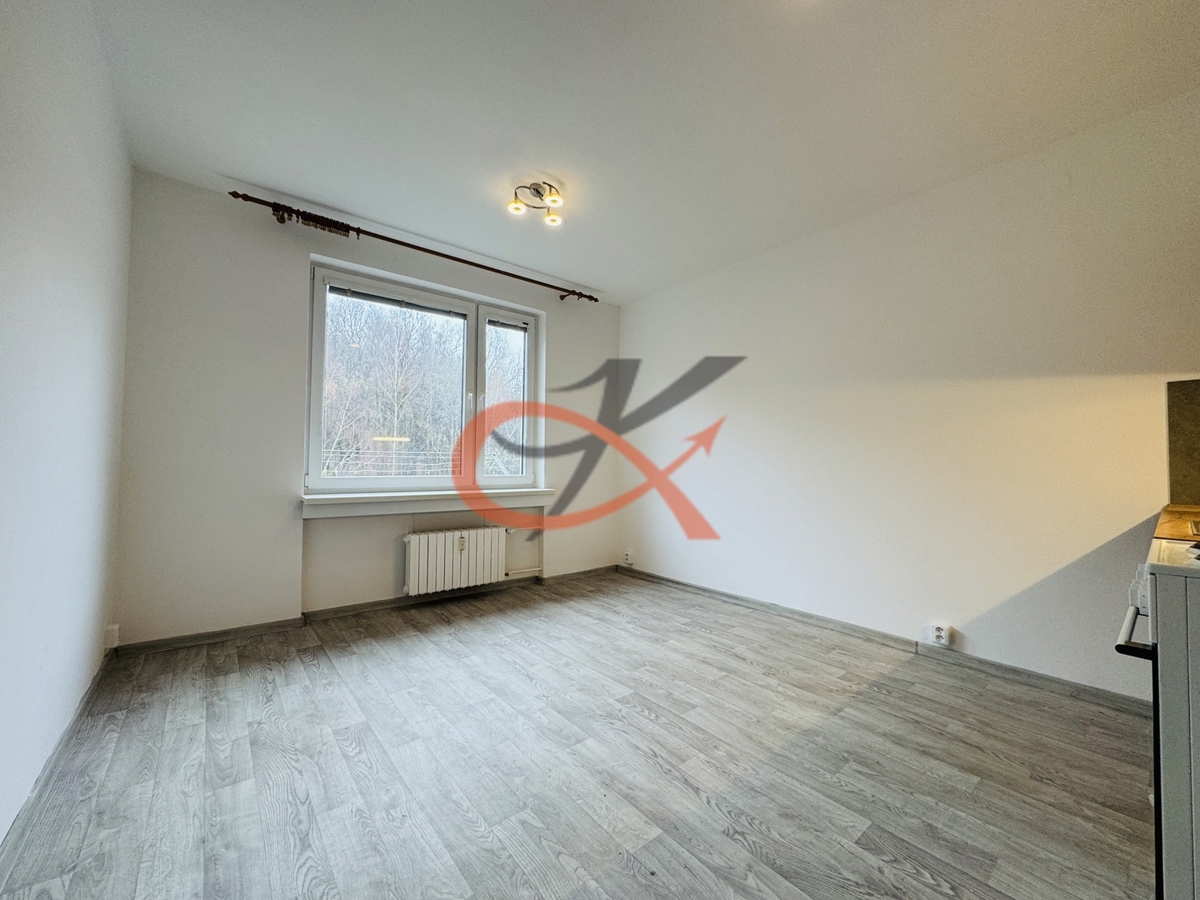 Fotografie 2 - Pronájem bytu · 1+kk · 21 m²