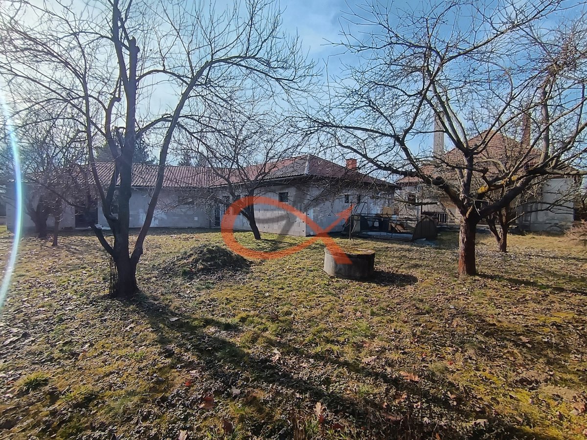 Photo 29/54