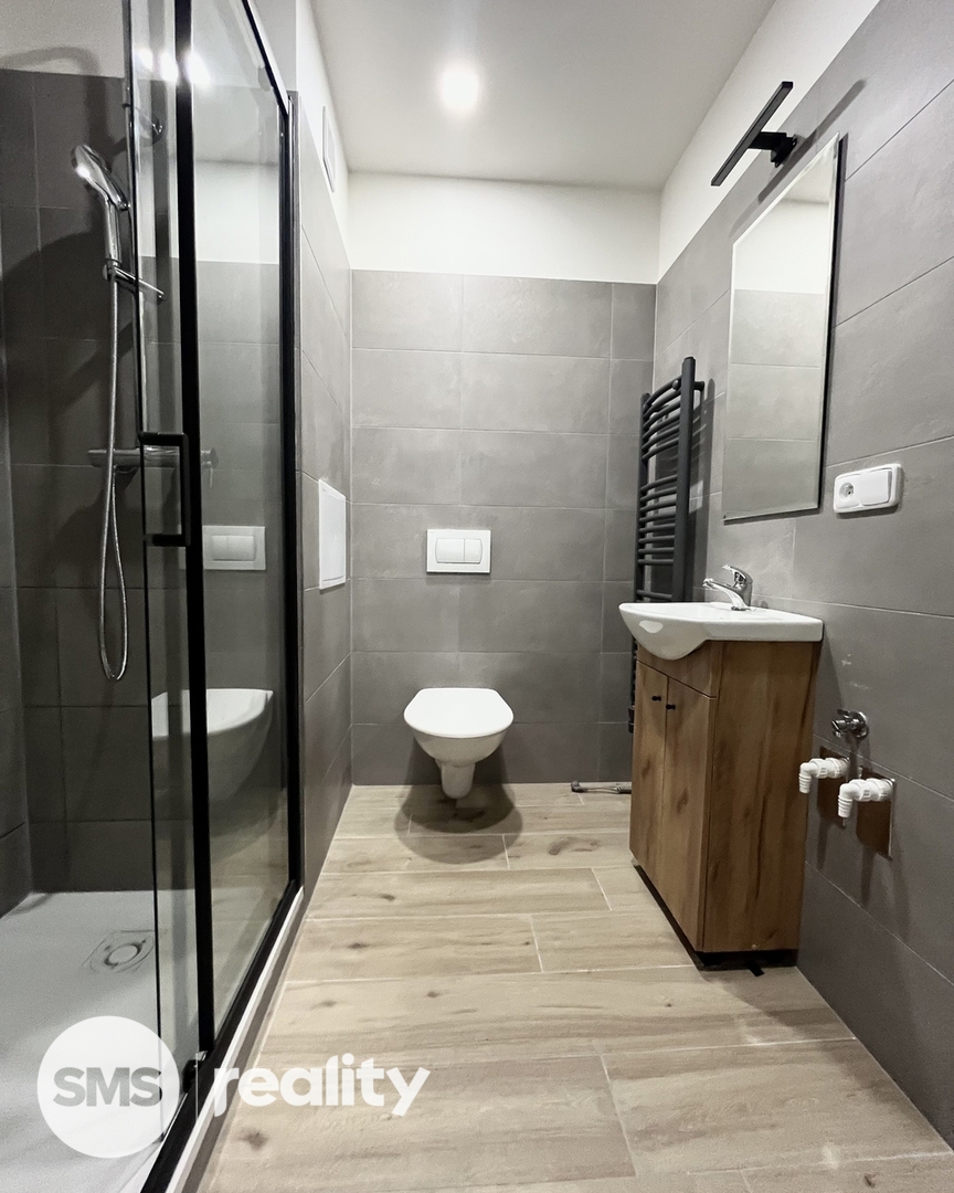 Pronájem bytu · 1+1 · 30 m²