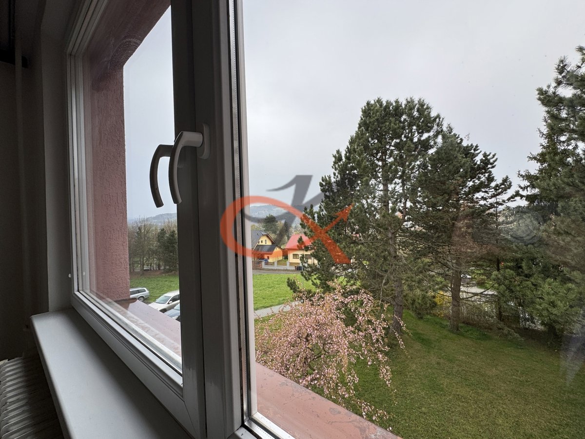Fotografie 11/25