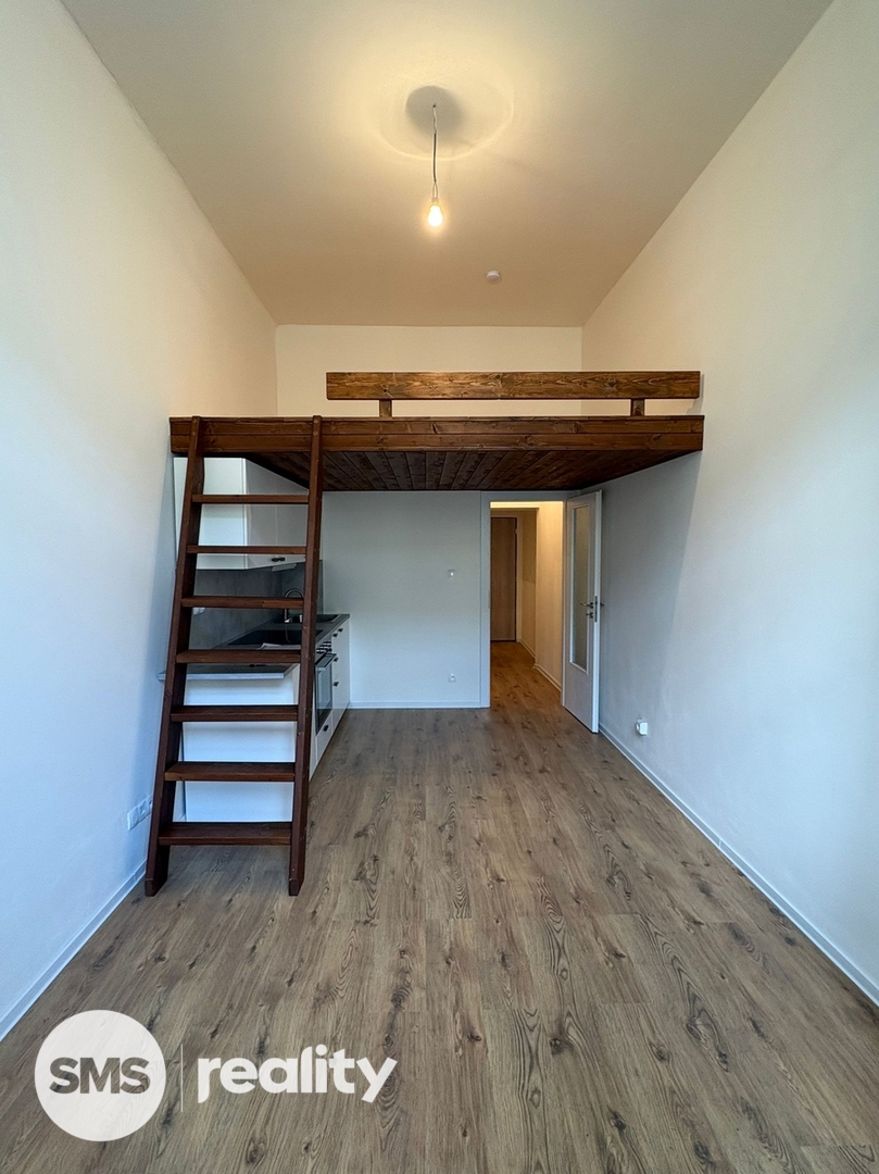 Căn hộ cho thuê · 1+kk · 25 m²