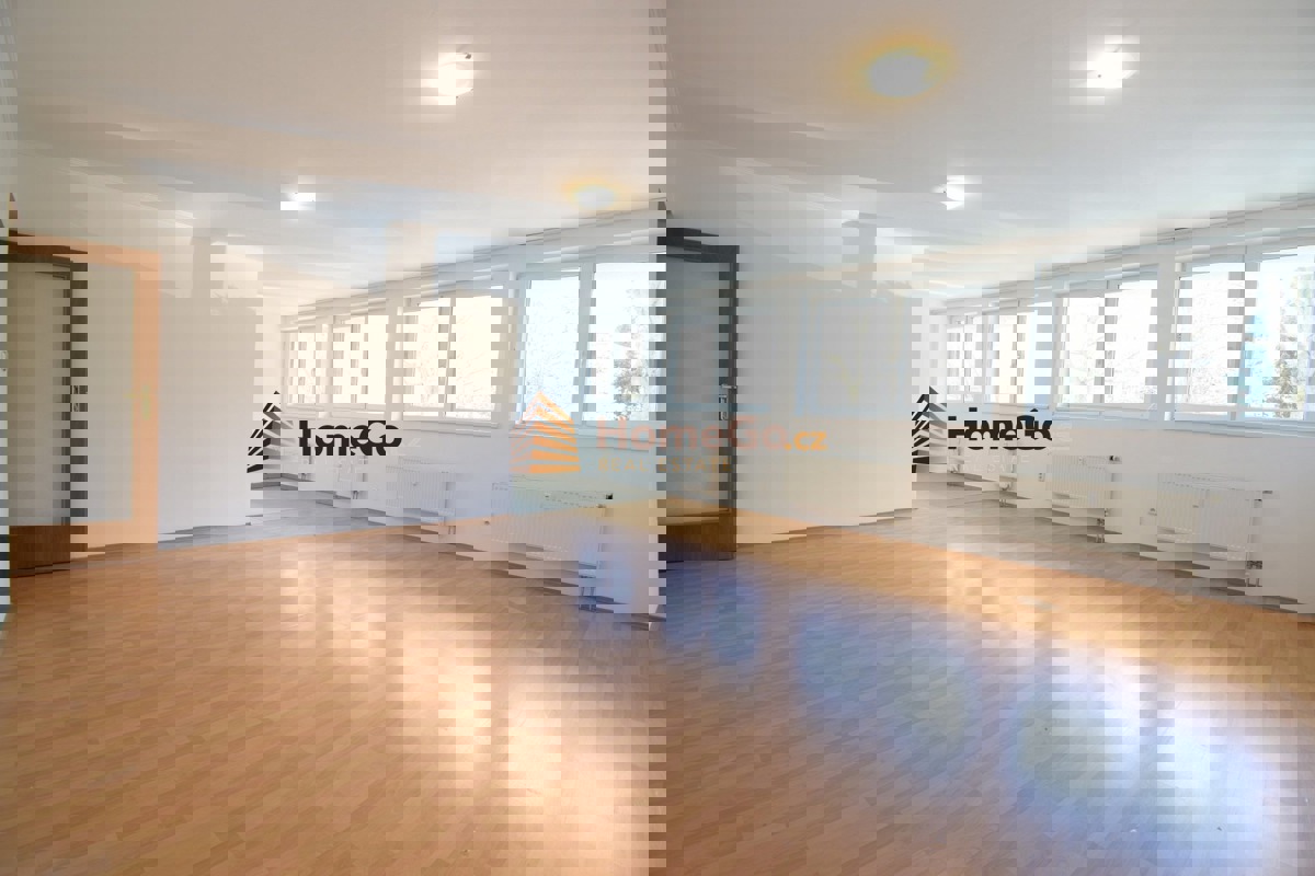 Pronájem bytu · 1+kk · 51 m²