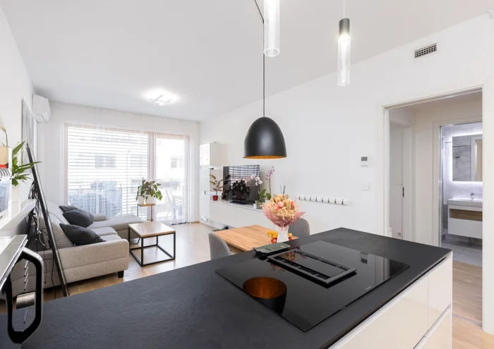 Apartment for rent · 2+kk · 48 m²