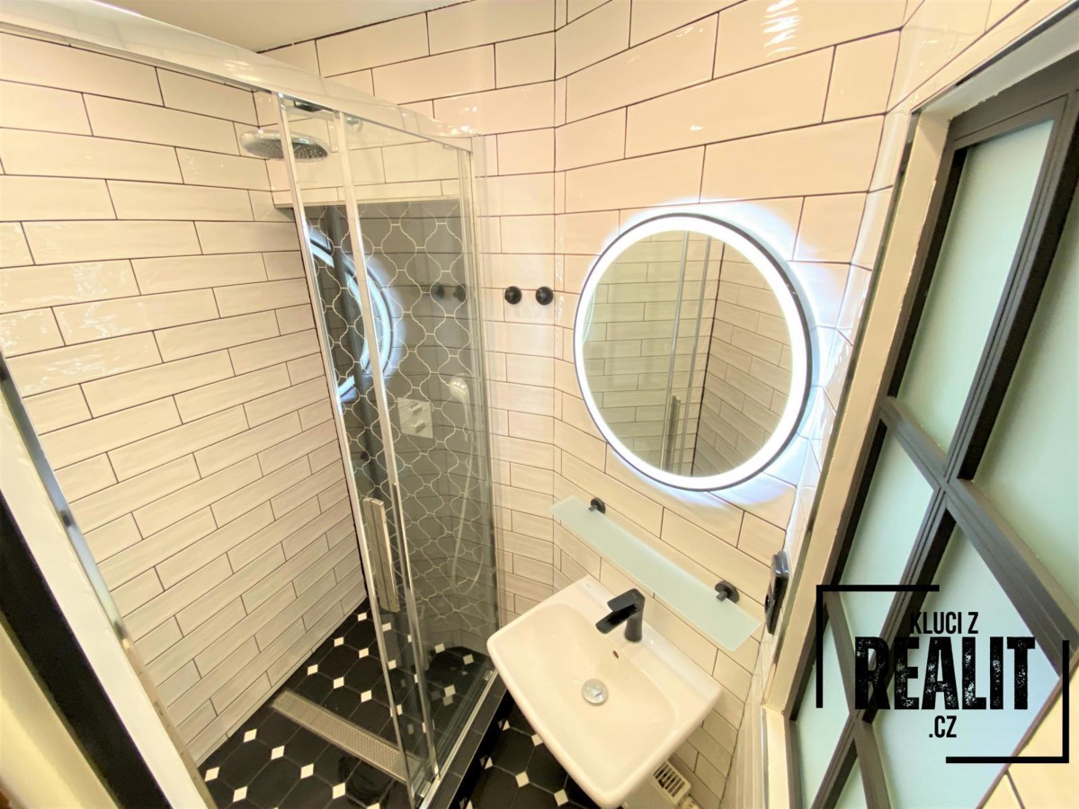 Pronájem bytu · 1+1 · 49 m²