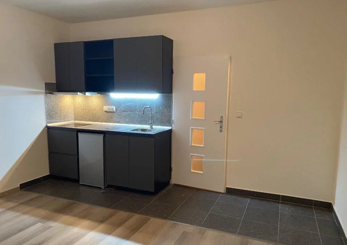 Apartment for rent · 1+kk · 25 m²
