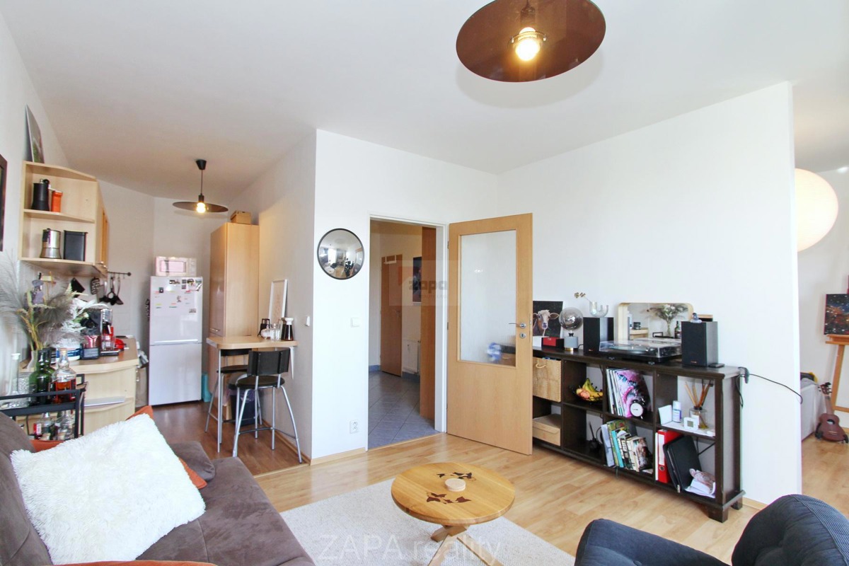 Pronájem bytu · 1+1 · 44 m²