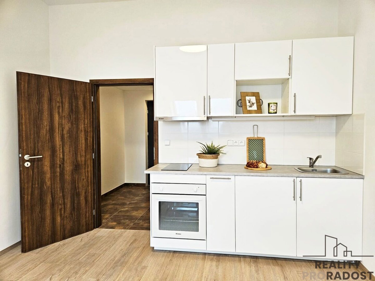 Căn hộ cho thuê · 1+kk · 34 m²