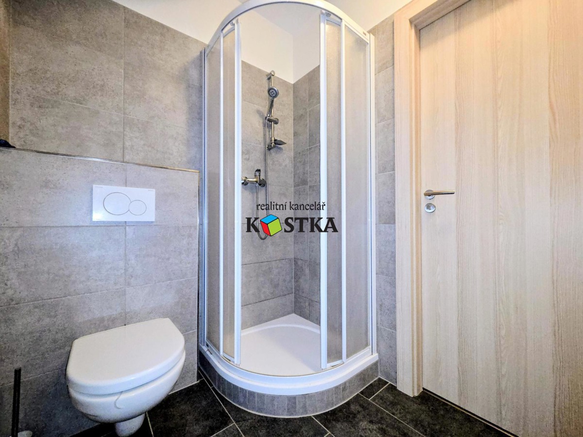 Fotografie 4 - Pronájem bytu · 1+kk · 56 m²