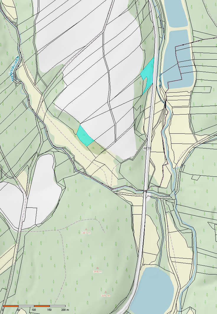 Fotografie 3 - Prodej pozemku · Les · 3 398 m²