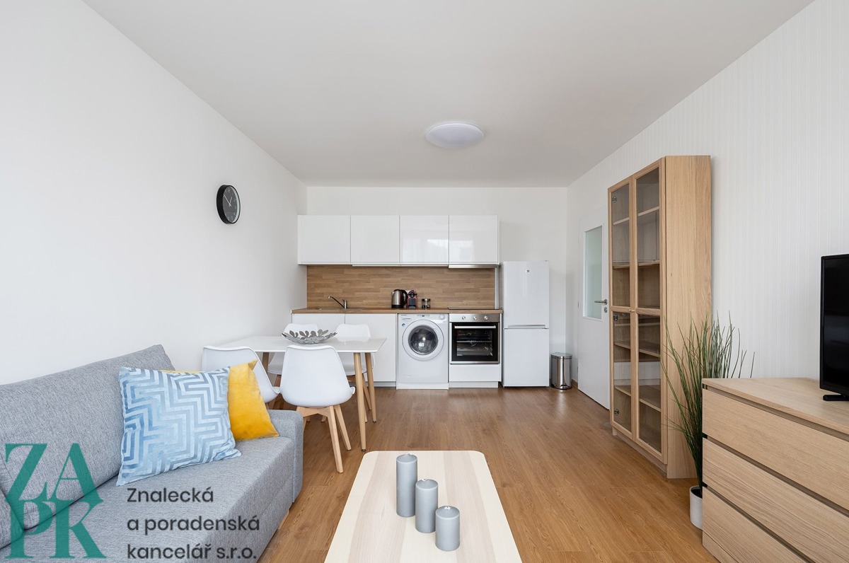 Fotografie 4 - Pronájem bytu · 2+kk · 44 m²