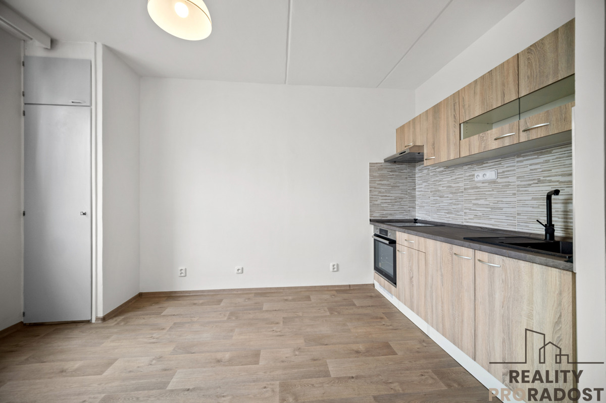 Pronájem bytu · 1+1 · 51 m²