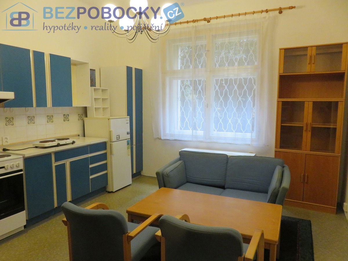 Pronájem bytu · 1+1 · 48 m²