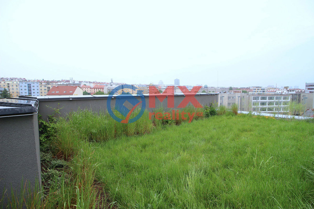 Hình ảnh 8/26