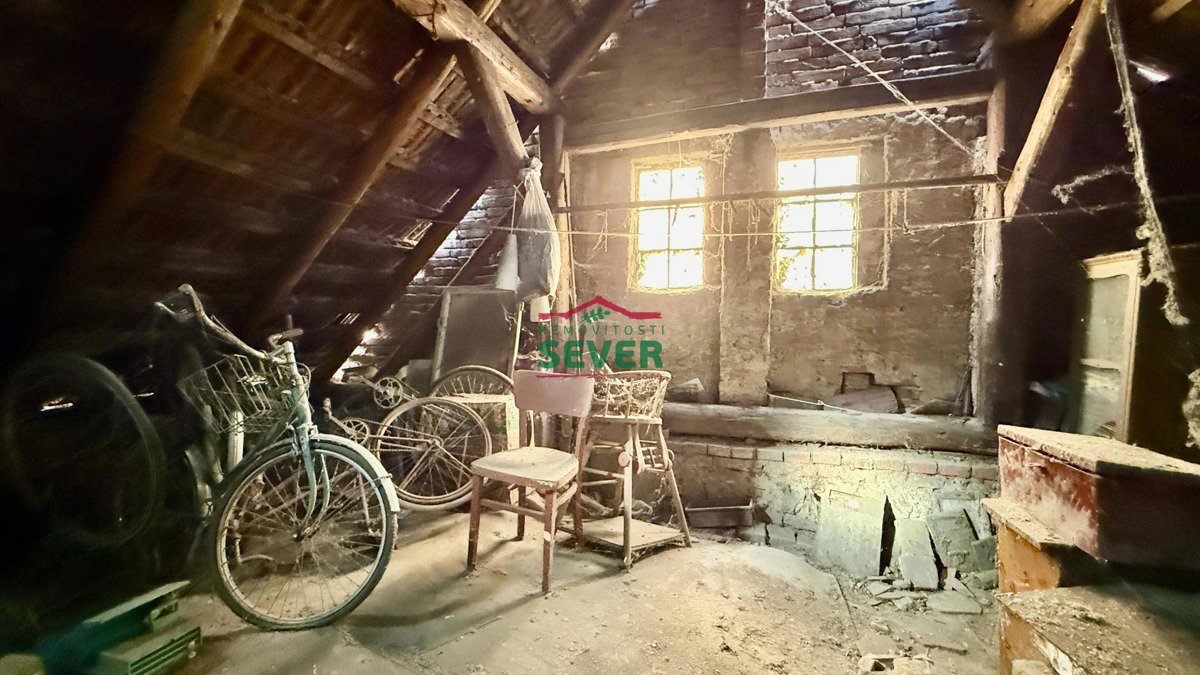 Fotografie 9/13