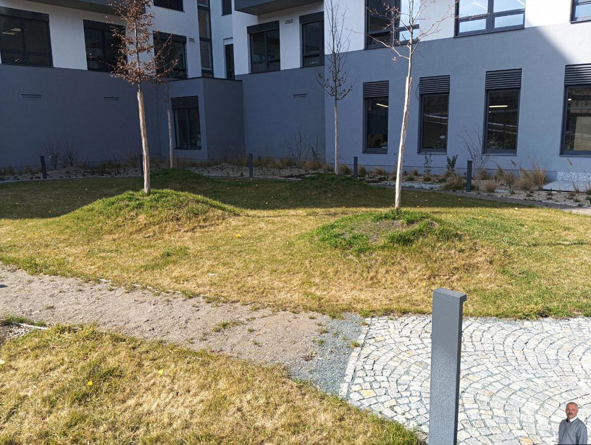 Photo 2/6
