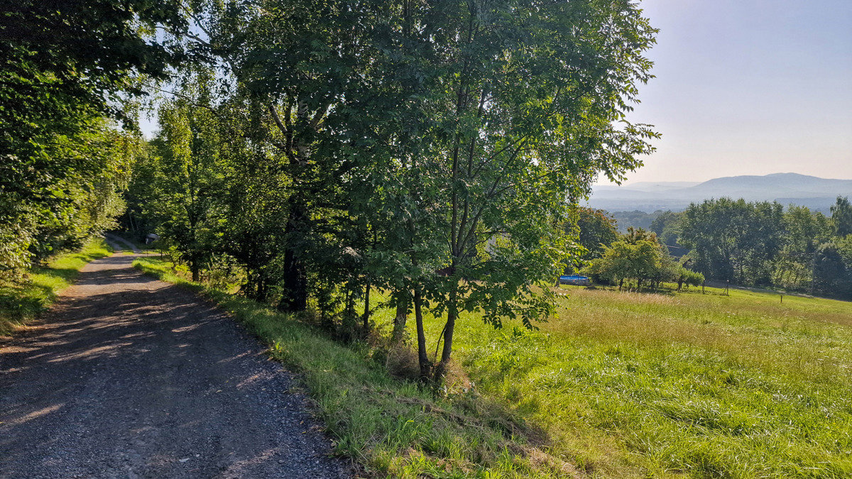 Photo 6/12
