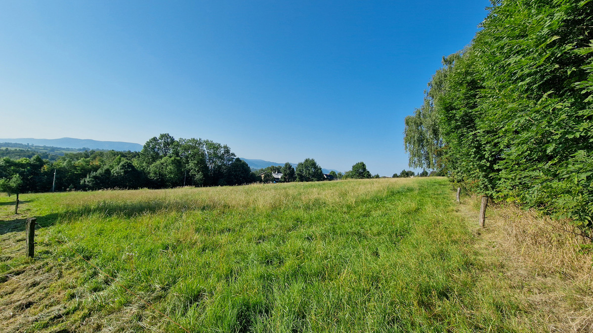 Fotografie 4 - Prodej pozemku · Bydlení · 4 000 m²