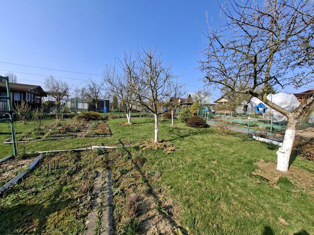 Fotografie 10/15