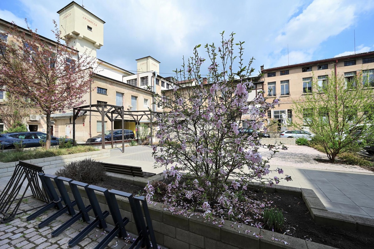 Pronájem komerční nemovitosti · Ordinace · 56 m²