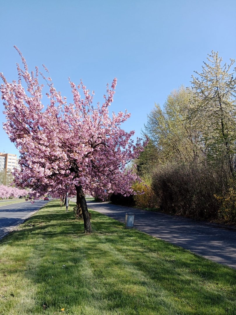 Fotografie 18/20