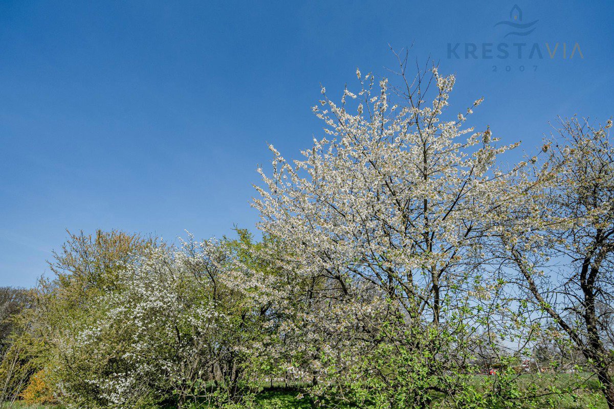 Fotografie 14/19