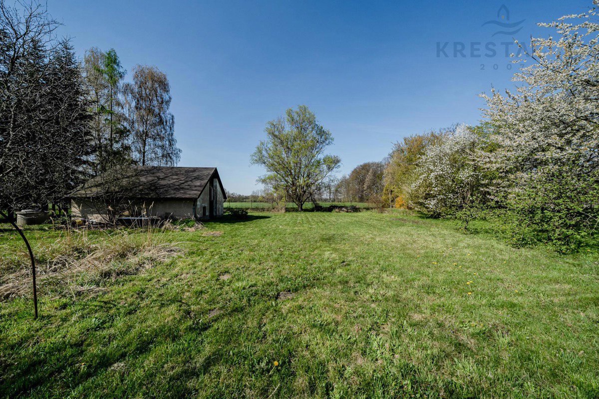 Fotografie 11/19