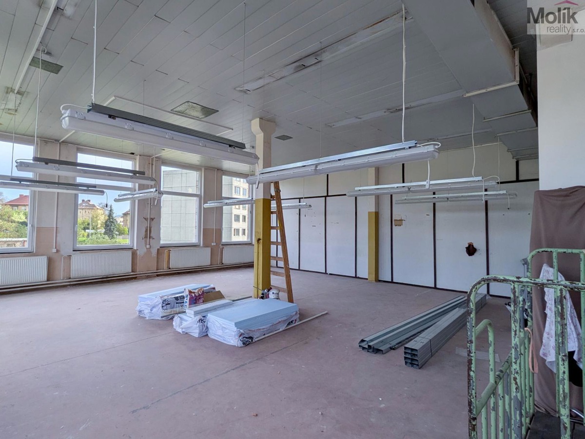 Pronájem komerční nemovitosti · 110 m²