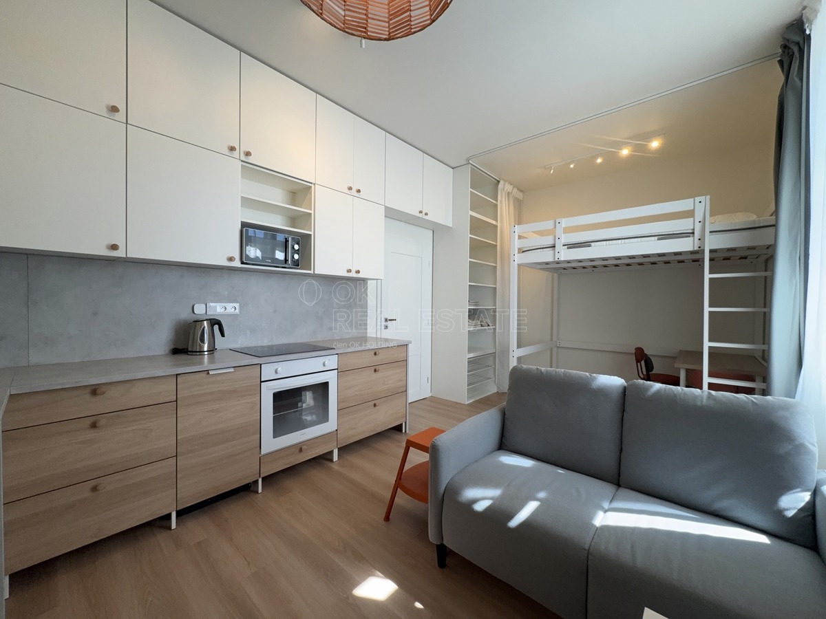 Pronájem bytu · 1+kk · 30 m²