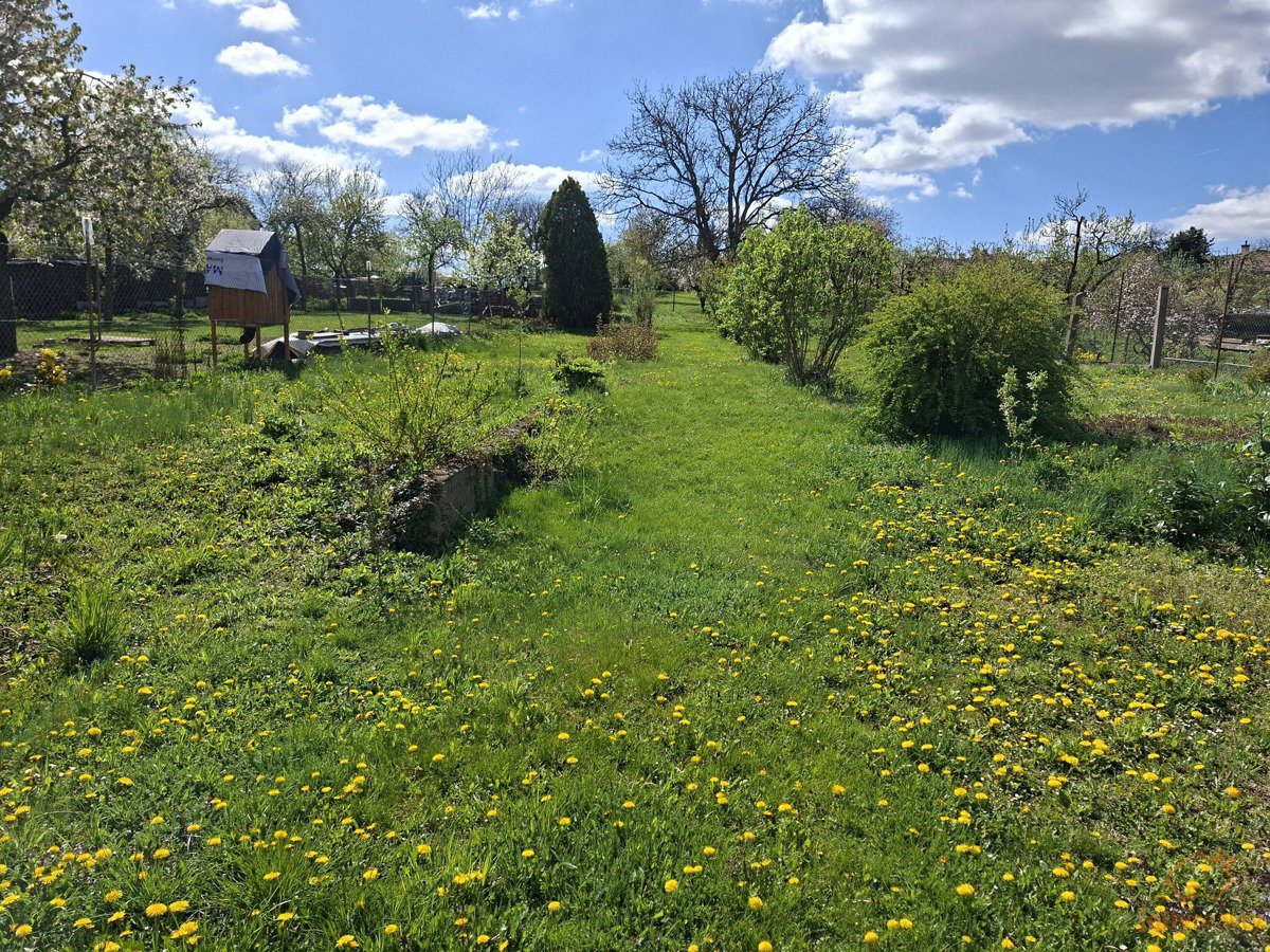 Photo 2/30