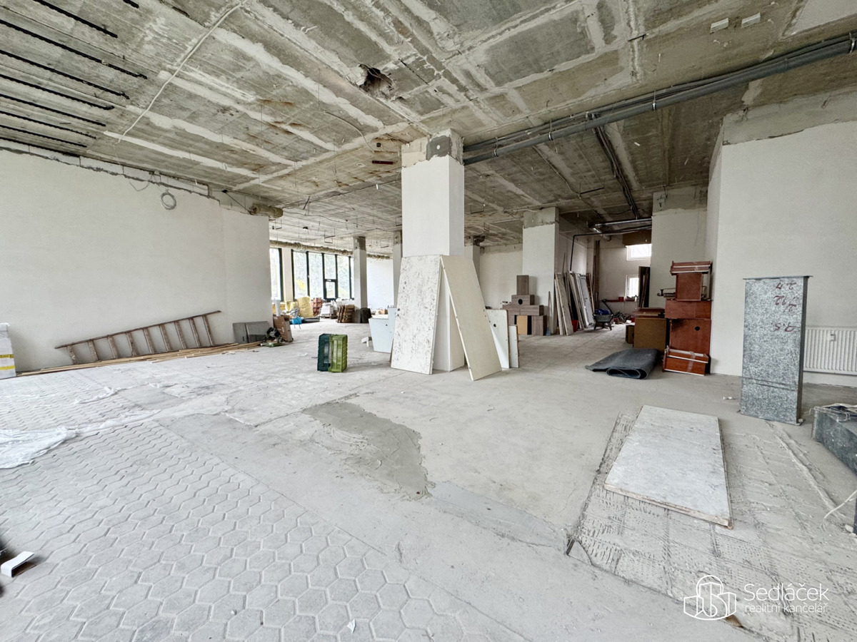 Fotografie 4 - Pronájem komerční nemovitosti · 350 m²