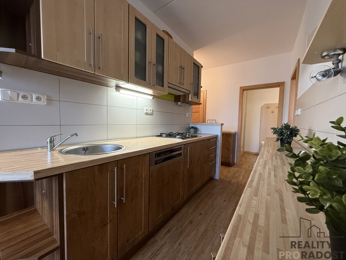 Fotografie 3 - Pronájem bytu · 3+1 · 74 m²