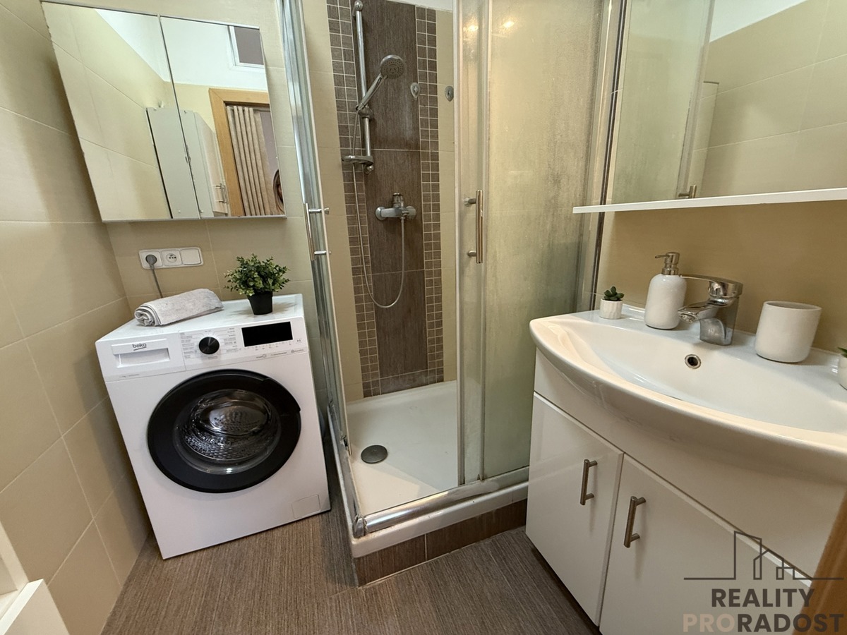 Fotografie 4 - Pronájem bytu · 3+1 · 74 m²