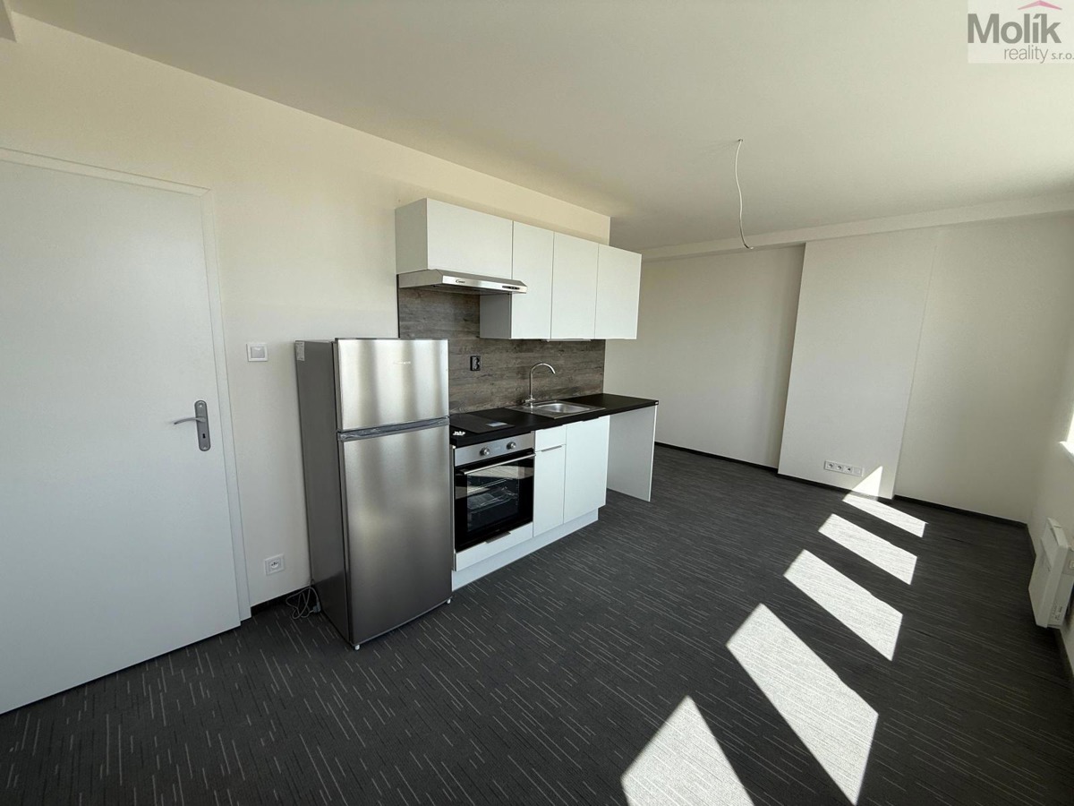 Pronájem bytu · 1+kk · 26 m²