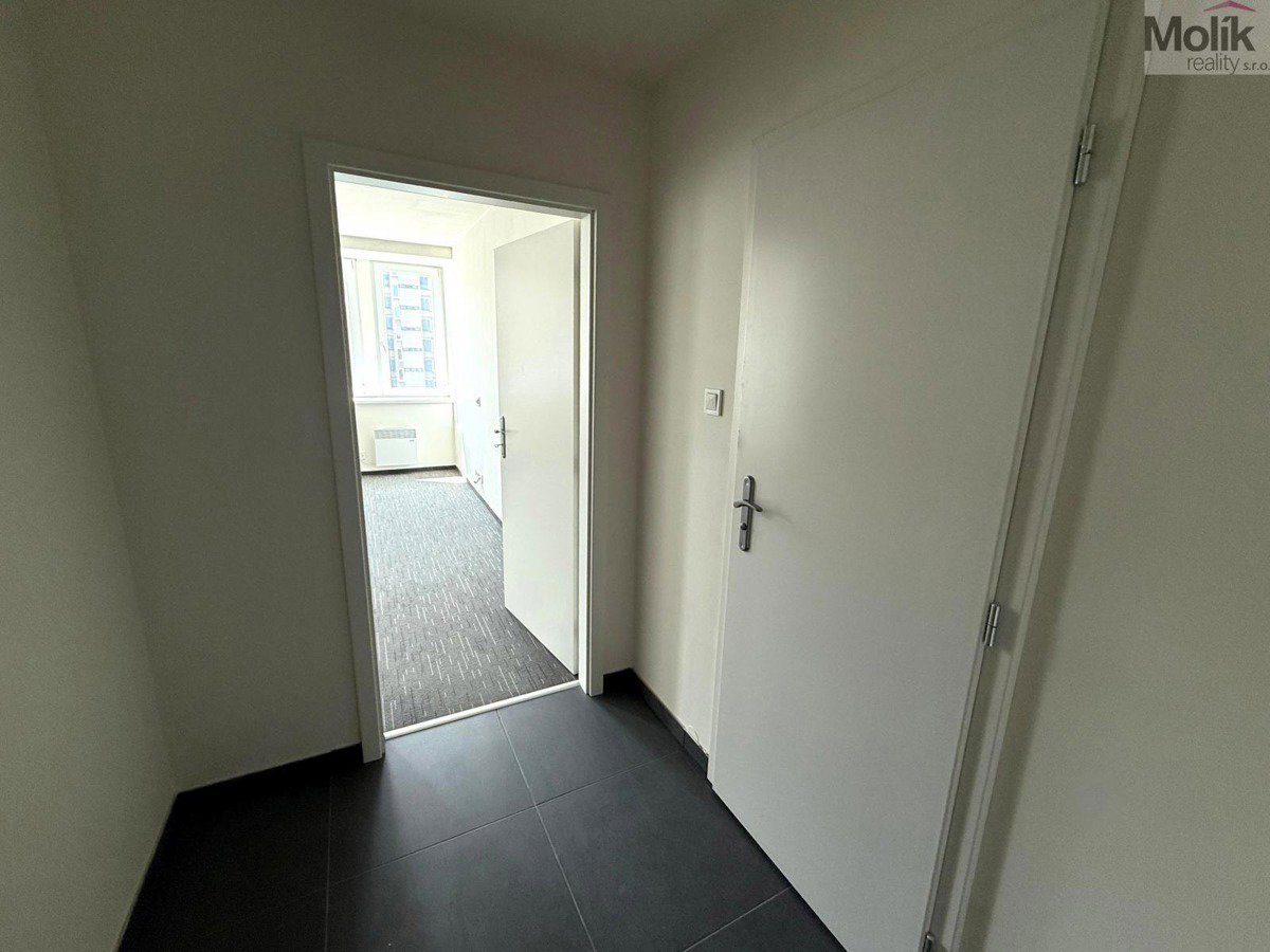 Fotografie 12/13