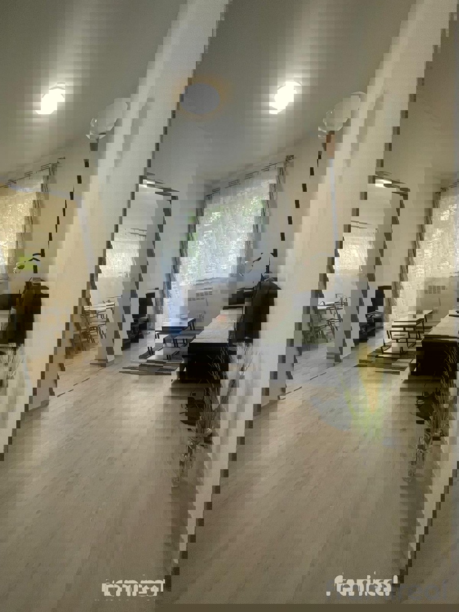 Pronájem bytu · 3+1 · 42 m²