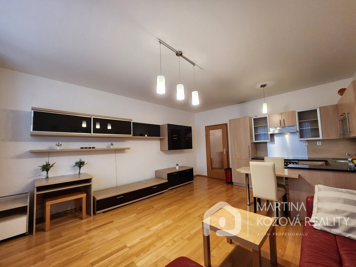 Căn hộ cho thuê · 2+kk · 57 m²