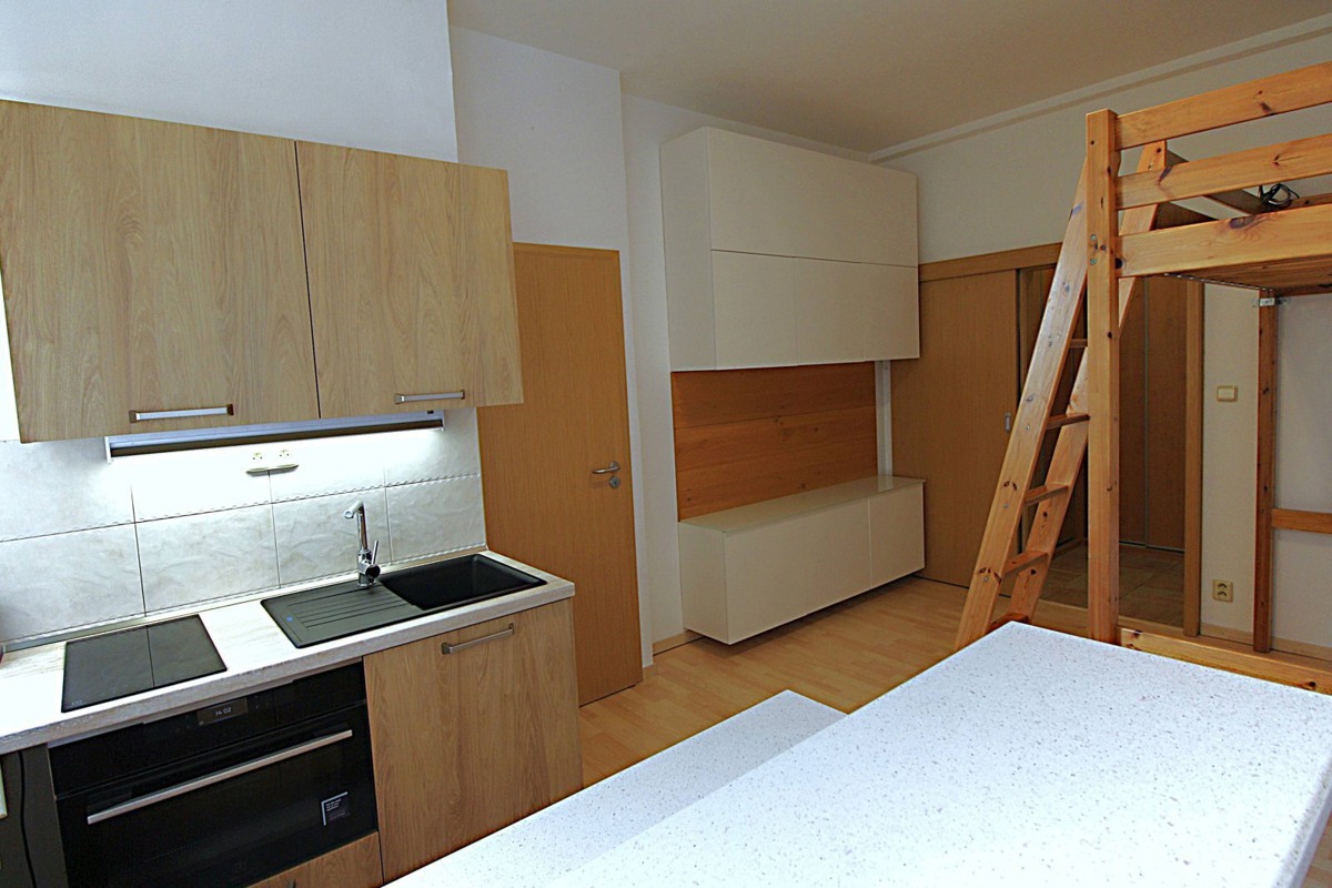 Apartment for rent · 1+kk · 26 m²