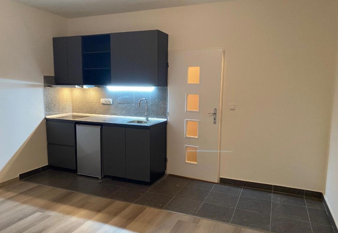 Apartment for rent · 1+kk · 22 m²