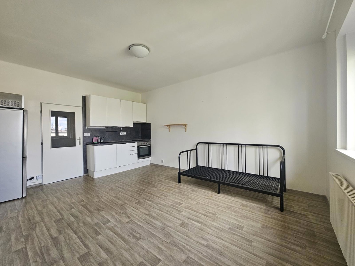 Căn hộ cho thuê · 1+kk · 28 m²