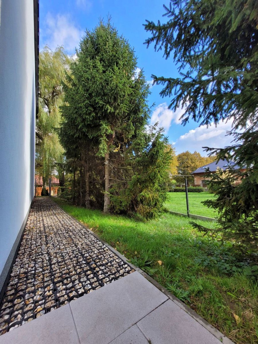 Фото 18/18