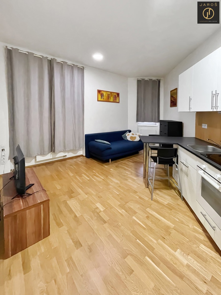 Căn hộ cho thuê · 1+kk · 25 m²