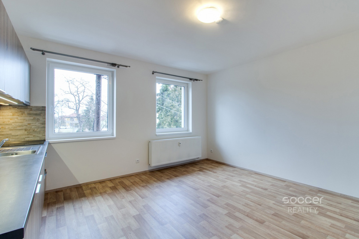 Fotografie 2 - Pronájem bytu · 1+kk · 29 m²