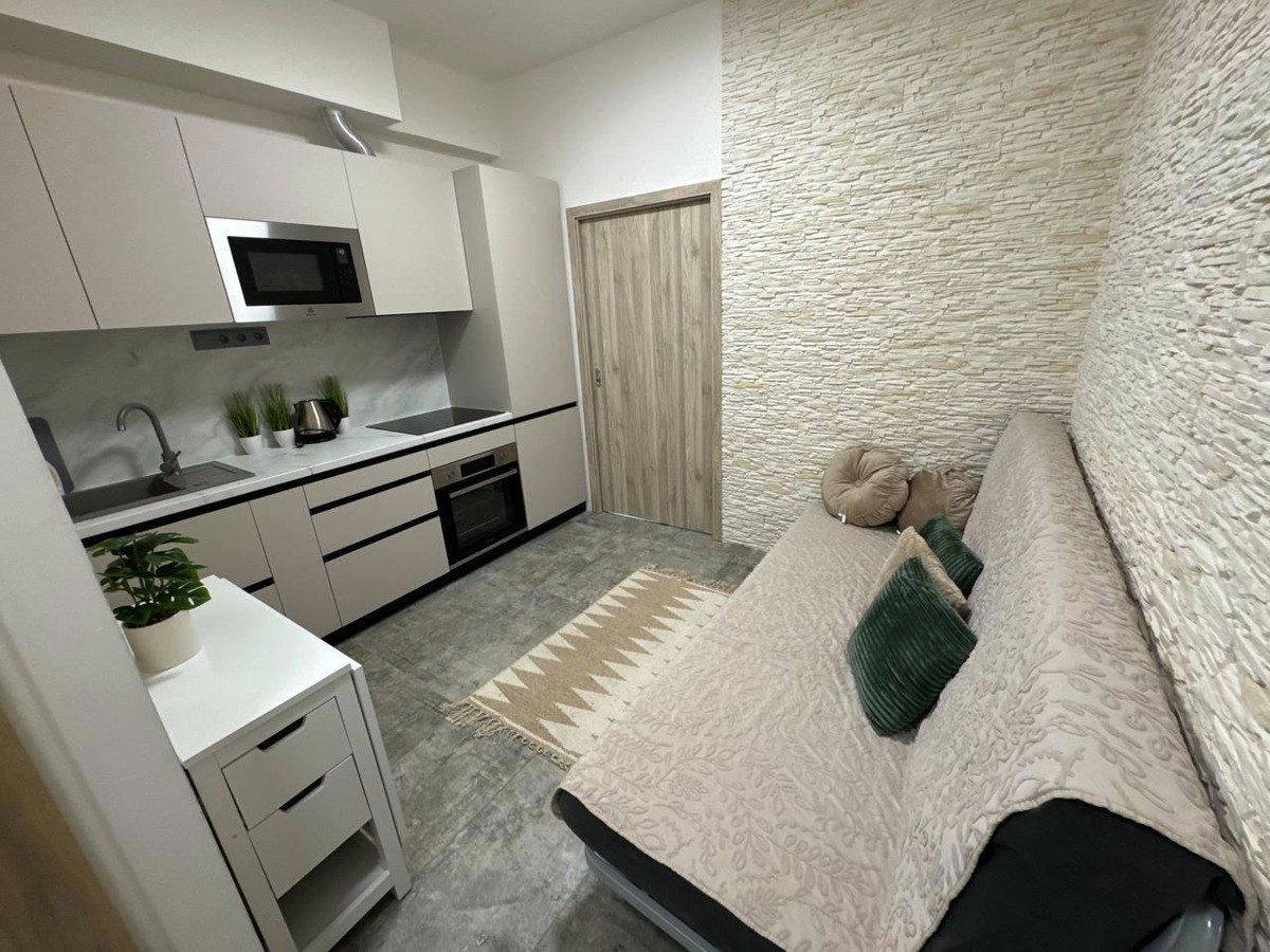 Apartment for rent · 2+kk · 22 m²