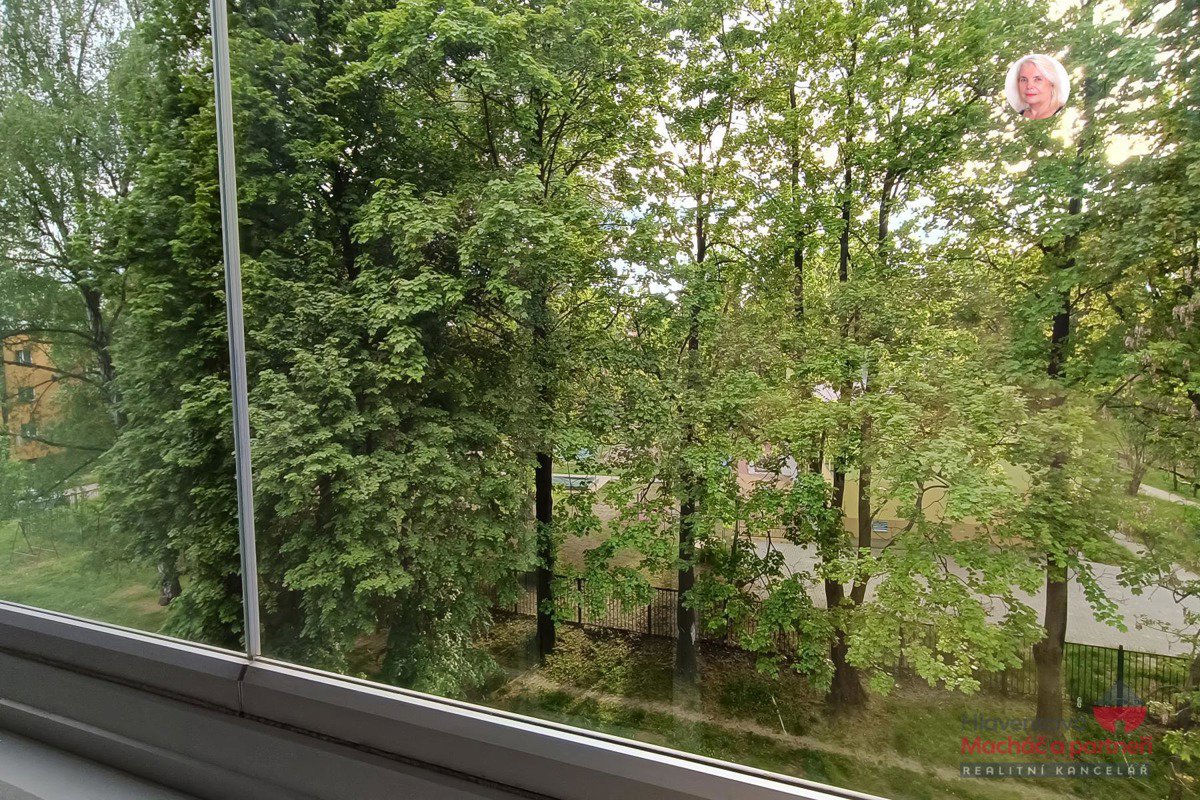 Photo 7/12