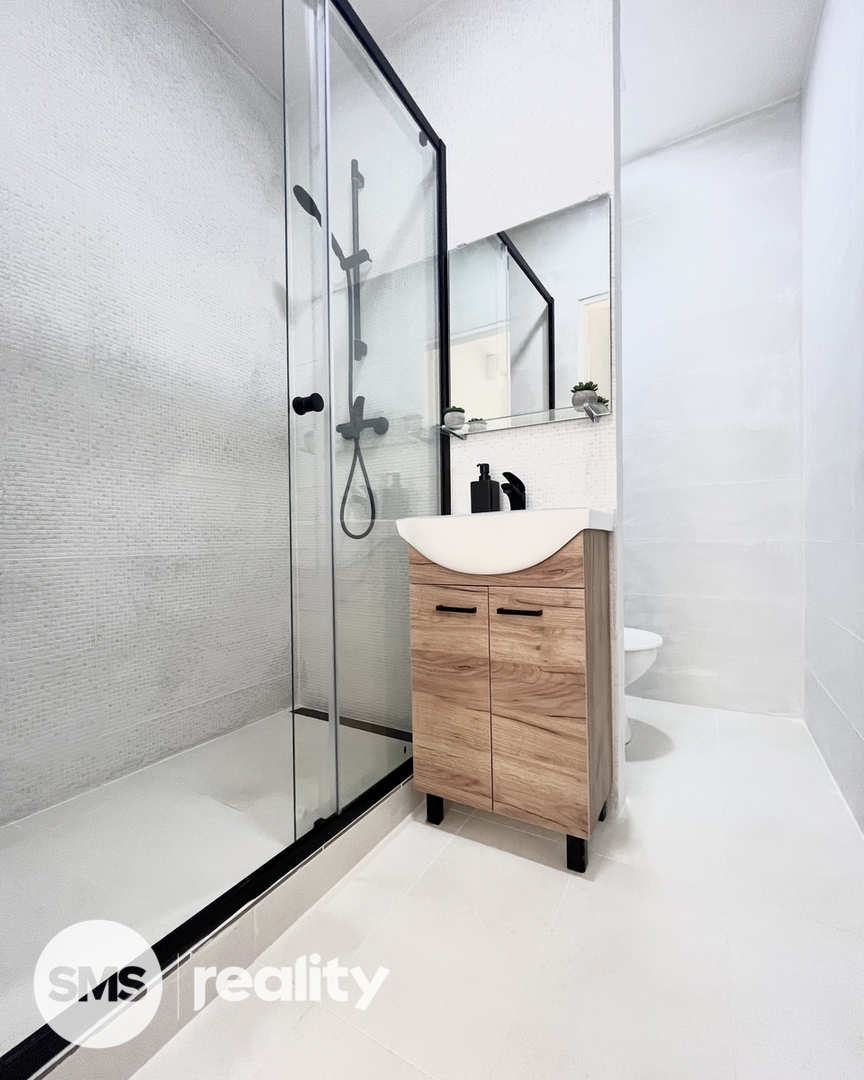 Pronájem bytu · 2+1 · 47 m²