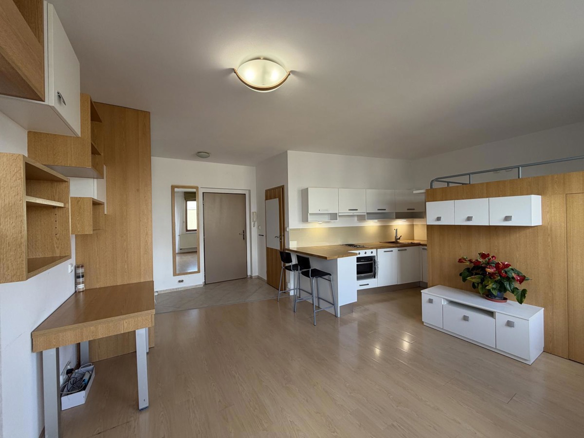 Pronájem bytu · 36 m²