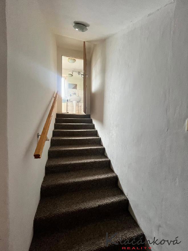 Fotografie 5/23