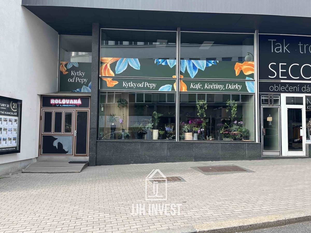 Pronájem komerční nemovitosti · 95 m²
