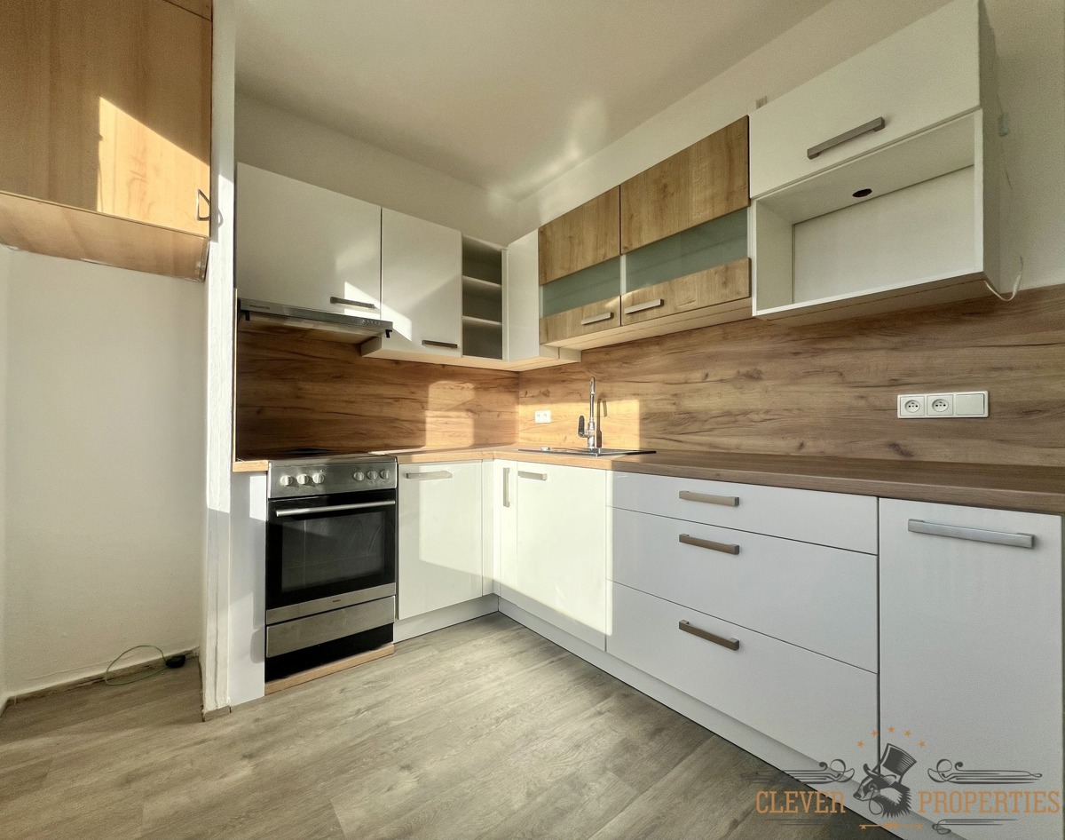 Fotografie 1 - Pronájem bytu · 2+1 · 59 m²